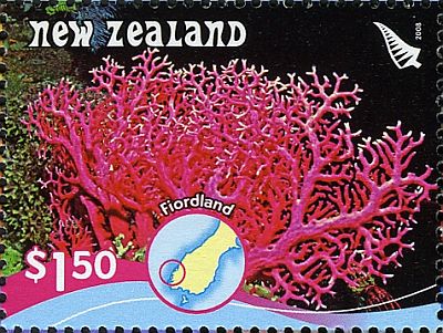 2008 г. - Коралловые рифы 