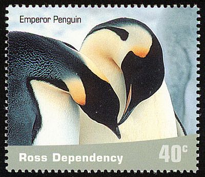 2001. - Пингвины 
