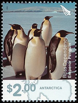 2004. - Пингвины 