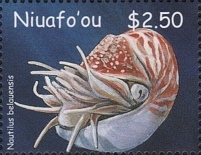 2002 - Морская фауна. 