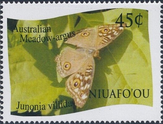 2012 - Бабочки 