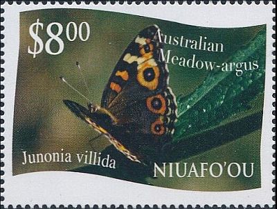 2012 - Бабочки 