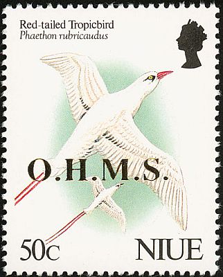 1993 - Птицы