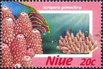 1996 - Кораллы