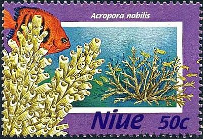 1996 - Кораллы