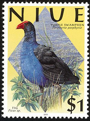 2000 - Птицы