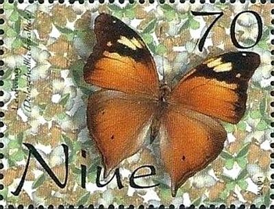 2001 - Бабочки  