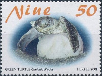 2001 - Морские черепахи  