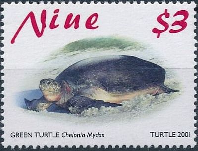 2001 - Морские черепахи  