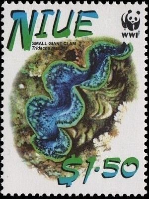 2002 - WWF  