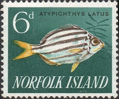 1962 -  Рыбы 