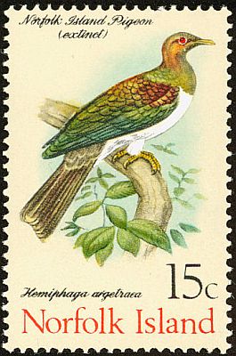 1971 -  Птицы 
