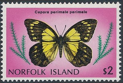 1977 -  Бабочки 