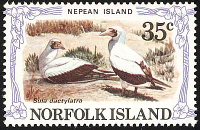1982 -  Виды острова, Флора, Фауна