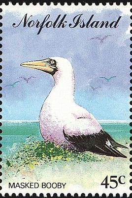 1994 - Птицы 