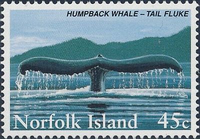 1995 - Комиссия защиты китов