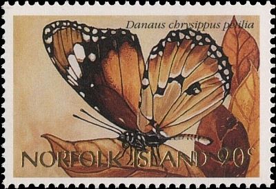 1997 - Бабочки