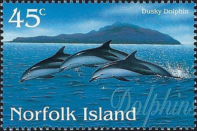 1997 - Дельфины