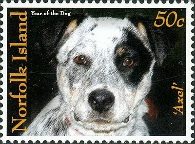 2006 -  Год Собаки