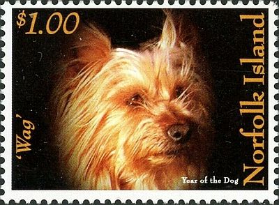 2006 -  Год Собаки