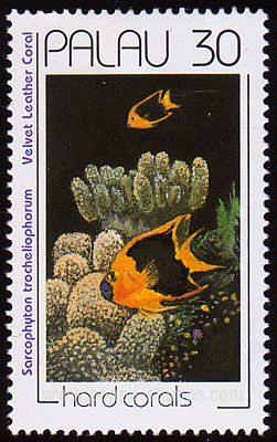 1991 - Кораллы . 