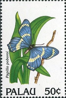 1992 - Бабочки . 