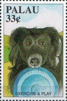 1999 - Собаки 
