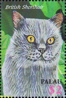 2002 - Кошки 