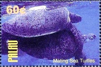 2004 - Морские черепахи 