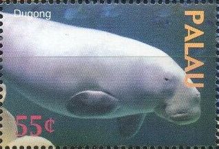 2004 - Фауна моря