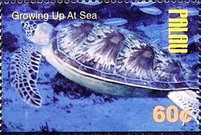 2004 - Фауна моря