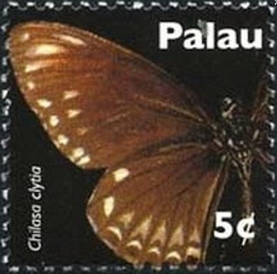 2007 - Бабочки 