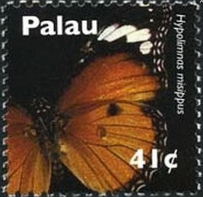 2007 - Бабочки 