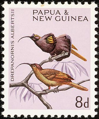 1964/65 - Птицы.  