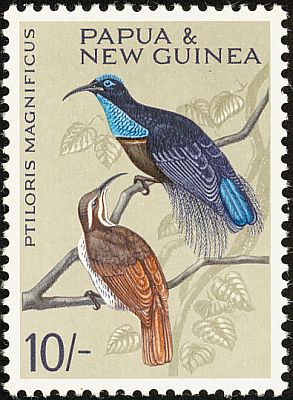 1964/65 - Птицы.  