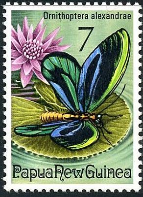 1975 - Бабочки  