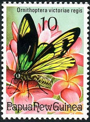 1975 - Бабочки  