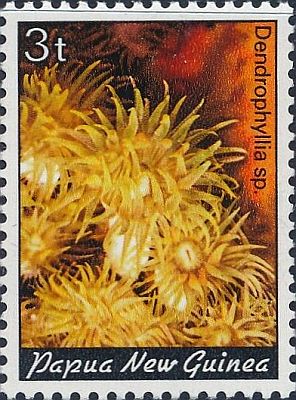 1982/83 - Кораллы 