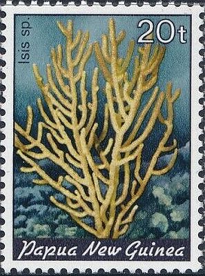 1982/83 - Кораллы 
