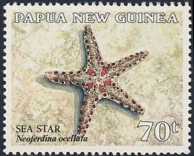 1987 - Морские звезды 