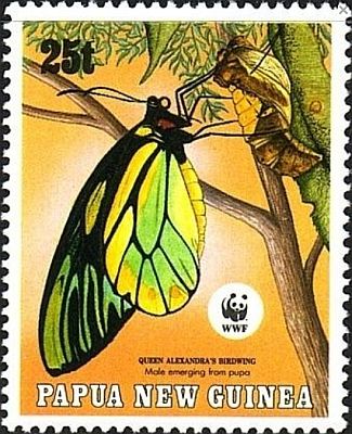 1988 - WWF. Бабочки