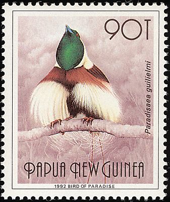 1993 - Птицы 