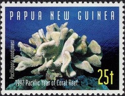 1997 - Кораллы 