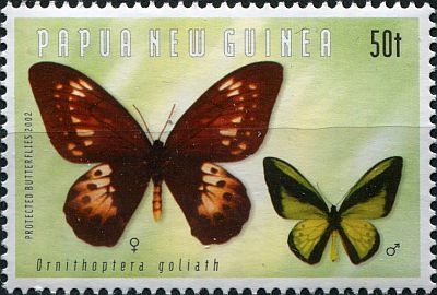 2002 - Бабочки 
