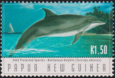2003 - Дельфины 