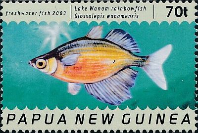 2004 - Рыбы