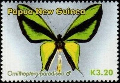 2006 - Бабочки 