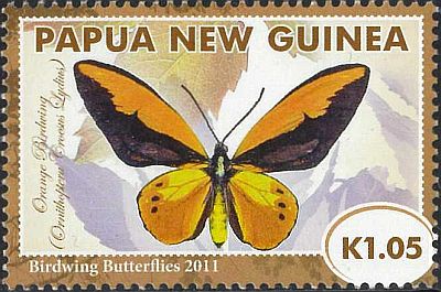 2011- Бабочки 