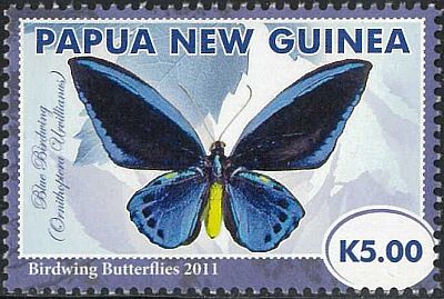 2011- Бабочки 