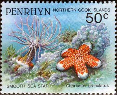1993 - Морская фауна 